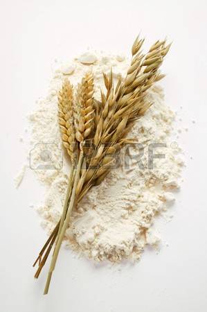 alimentos com gluten